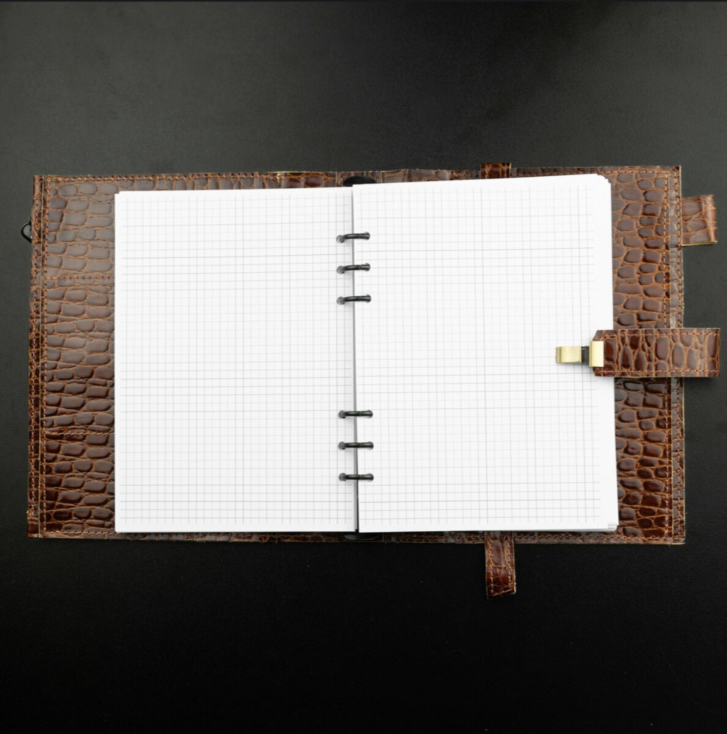 Limited edition. Crocodile-Embossed Leather Planner A5.