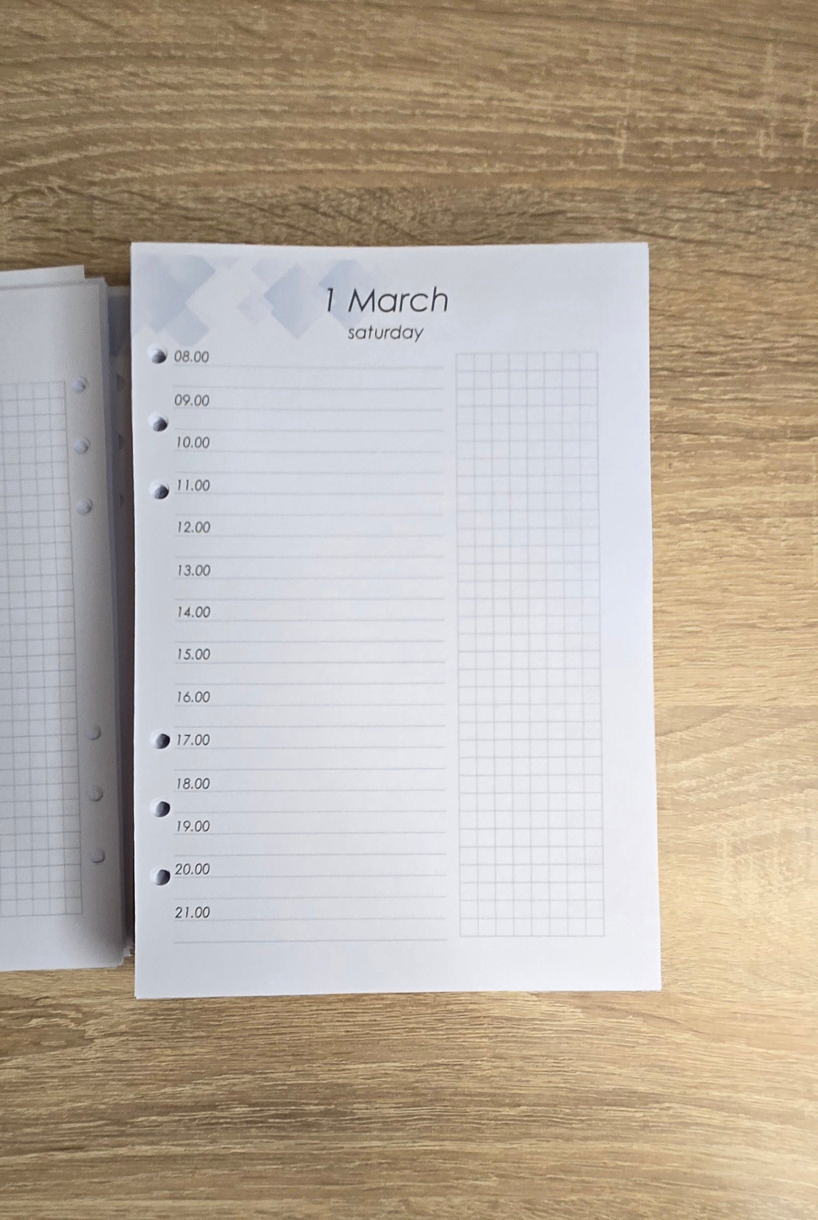 Dated day with time. Printed planner pages, size A5, dated 2025/2026/2027/2028 , dated notebook, many languages.