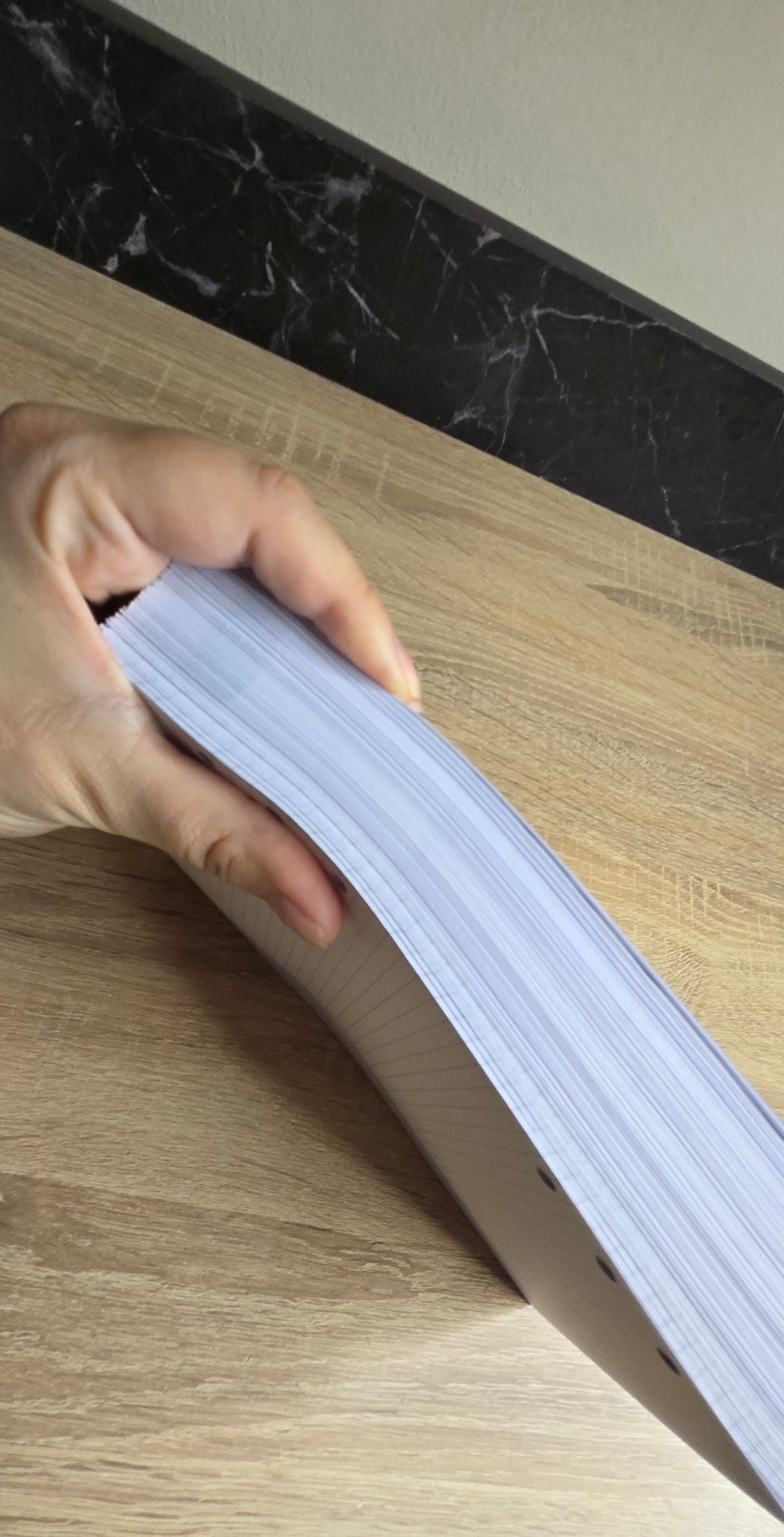 Dated day with time. Printed planner pages, size A5, dated 2025/2026/2027/2028 , dated notebook, many languages.